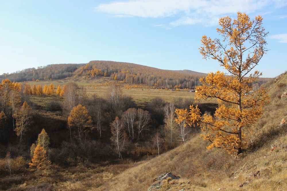 Photograph by Наталья Юрова