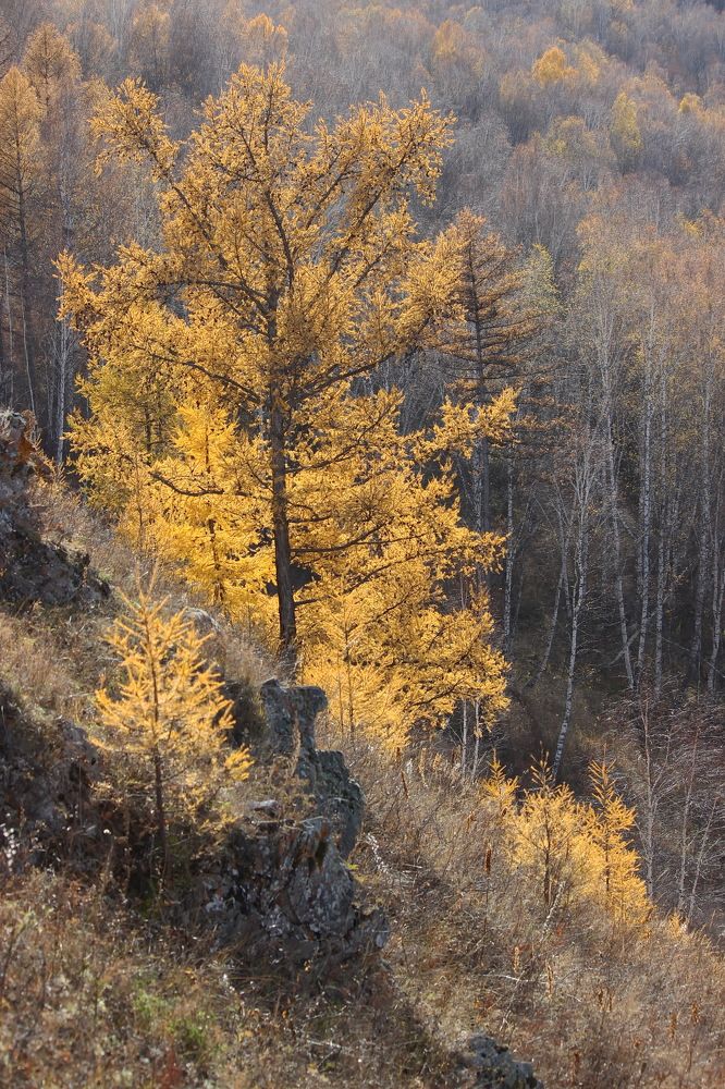 Photograph by Наталья Юрова