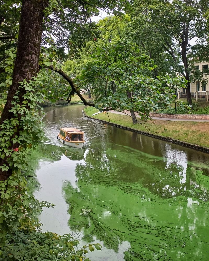 Photograph by Ирина Калюжная