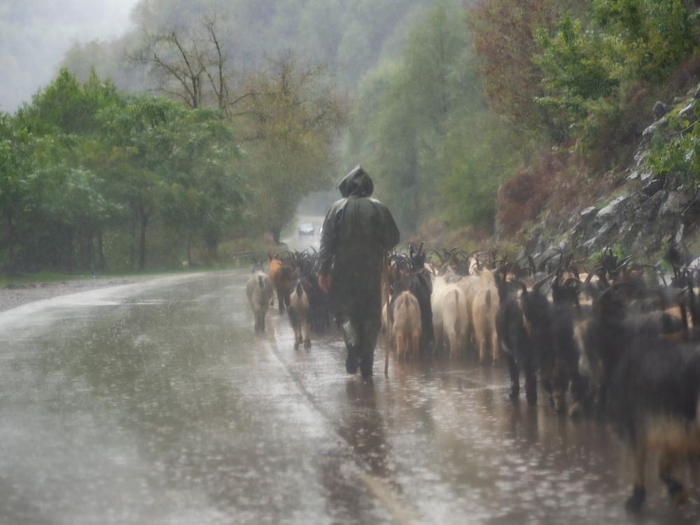 Photograph by Alex_Black