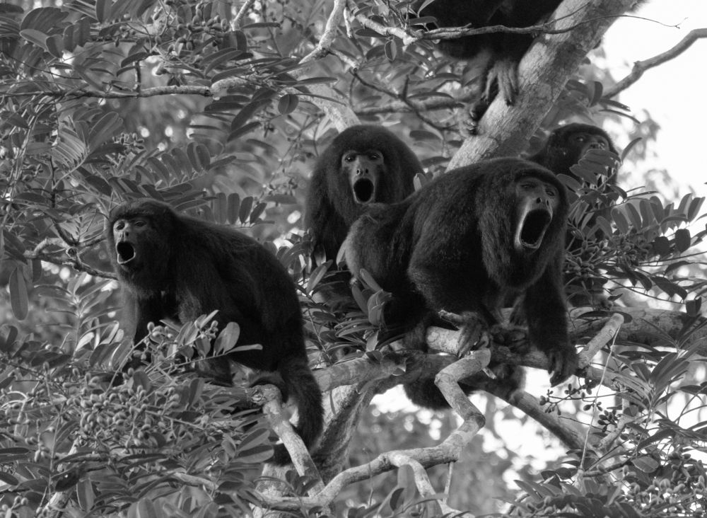 Photograph by Thiago Zanetti