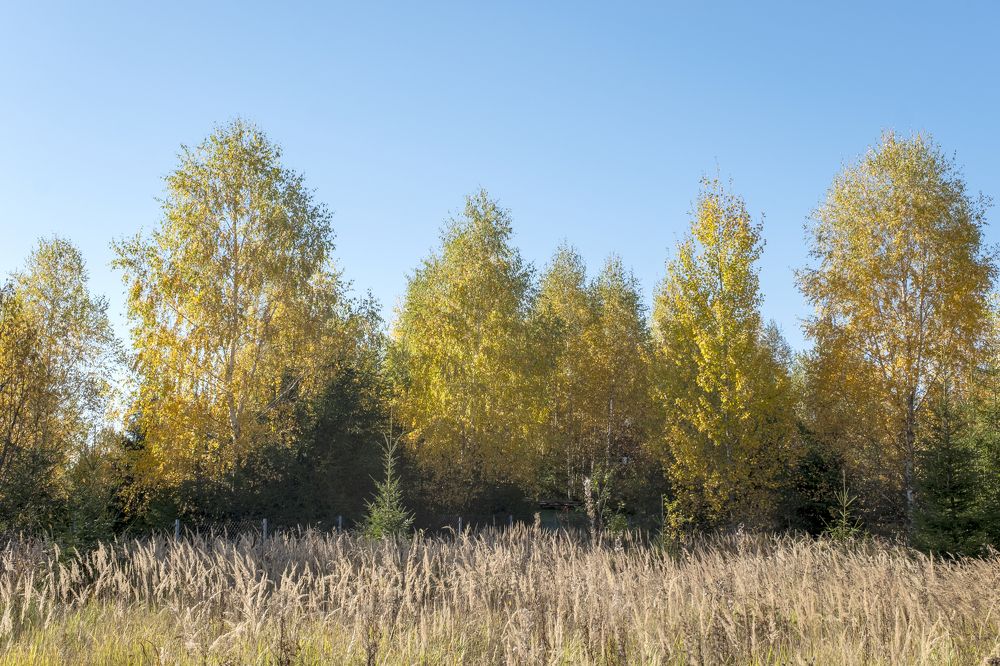 Photograph by Серебренников Михаил