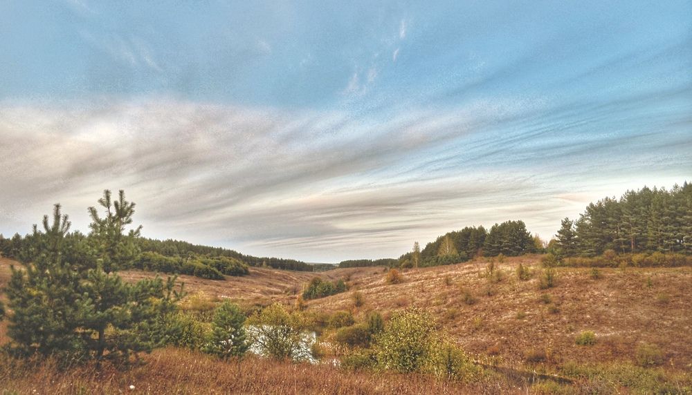 Photograph by Natasha Efanova