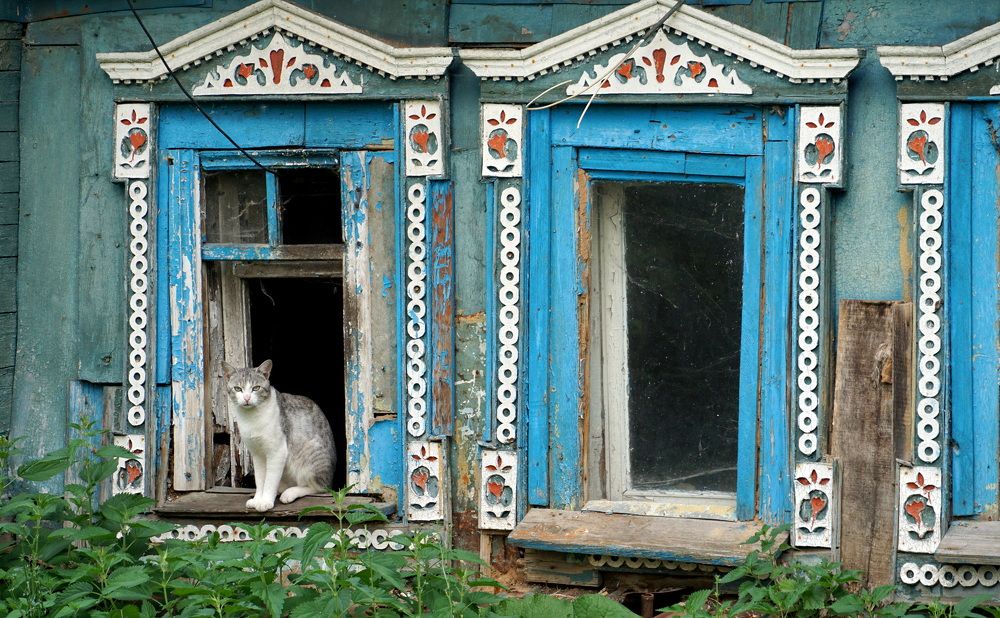 Photograph by Блюмина Елена