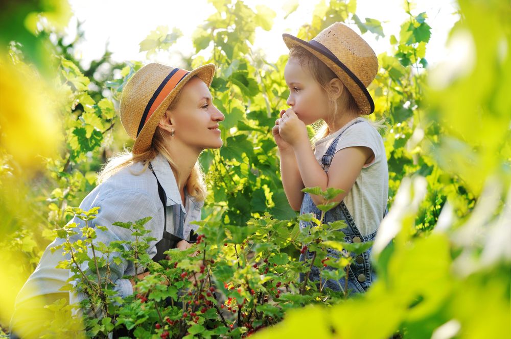 Photograph by Татьяна Калмацуй