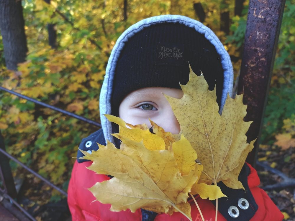 Photograph by Elena Bogomolova