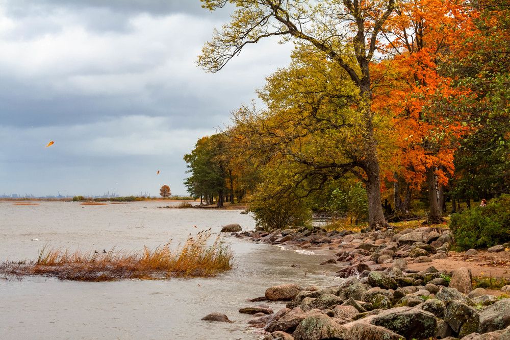 Photograph by Диана Бородзе