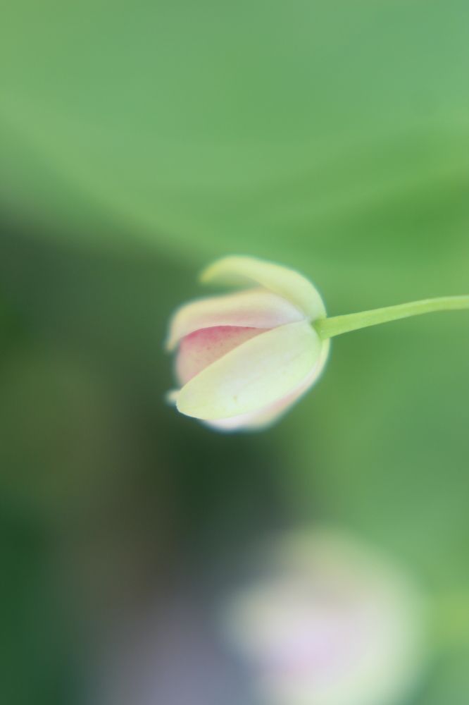 Photograph by Наталия