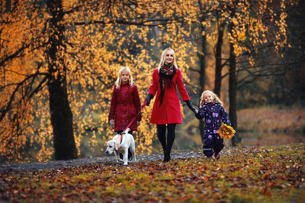 Photograph by Алина Жук