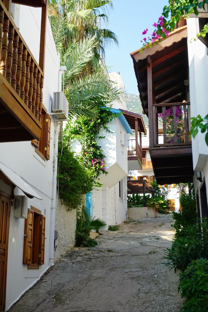 Photograph by Viktoria Vavilkina