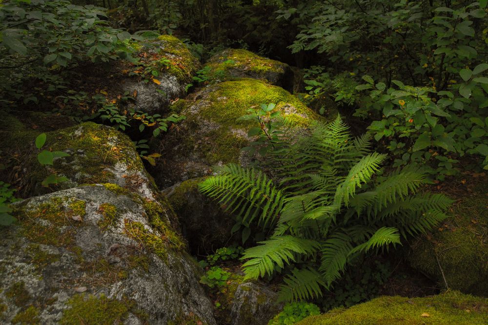 Photograph by Екатерина Казарцева