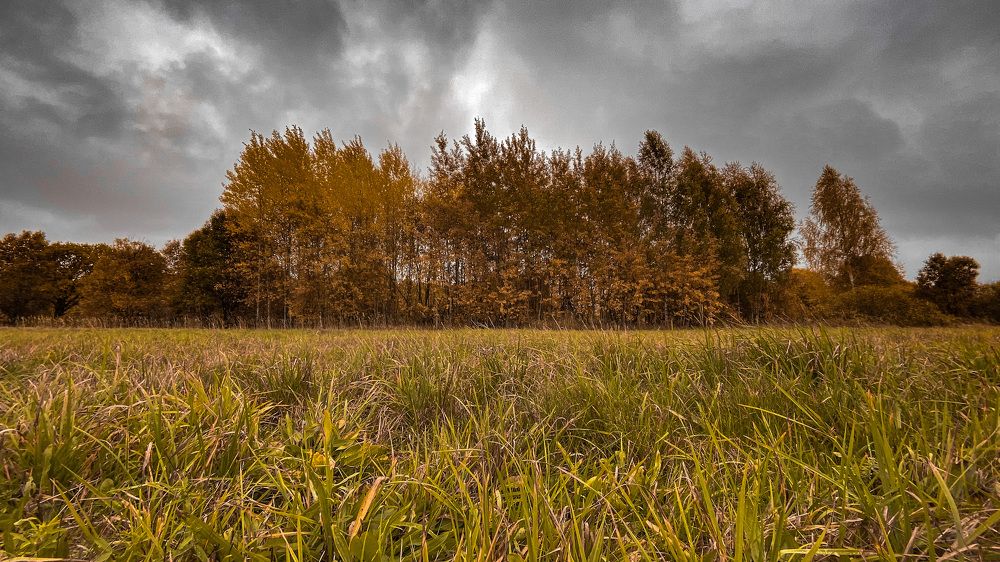 Photograph by Мария Сазонова