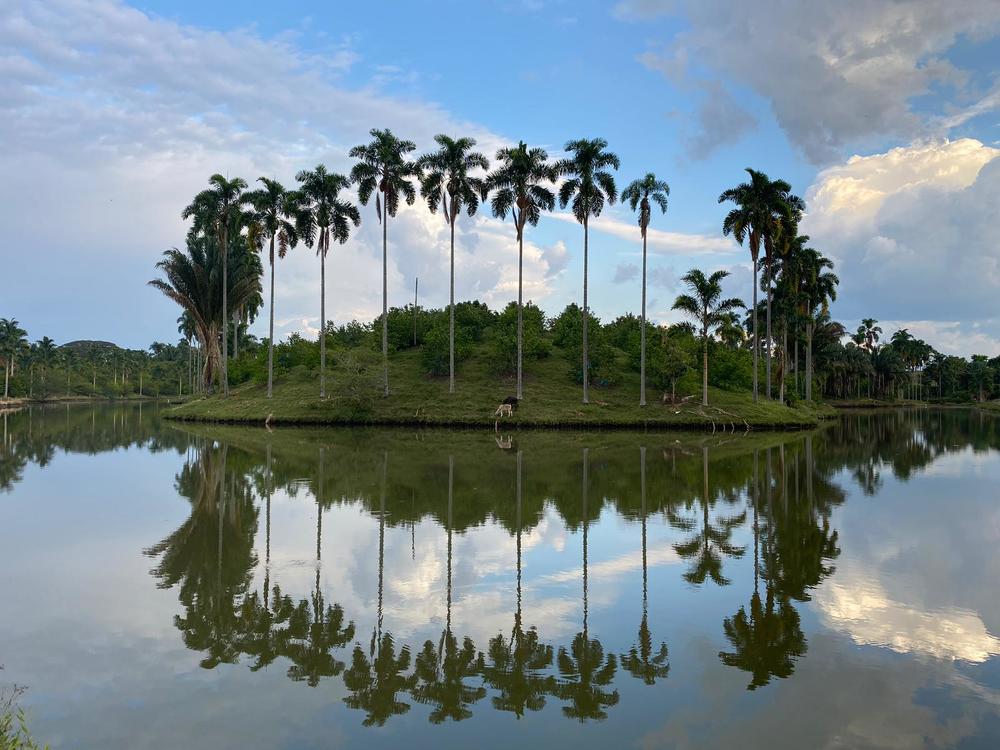 Photograph by Анастасия Куэлляр