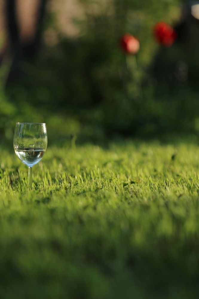 Photograph by Anatoliy Buyanov