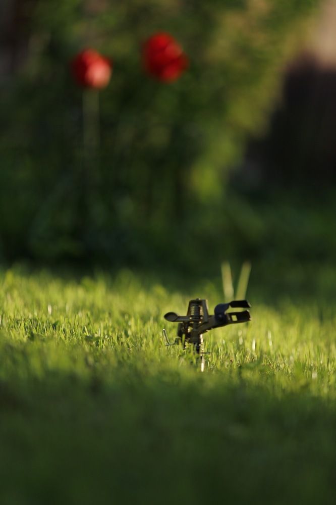 Photograph by Anatoliy Buyanov