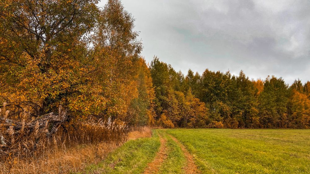 Photograph by Мария Сазонова