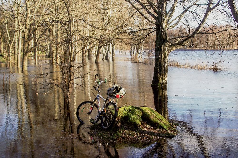 Наводнение в парке