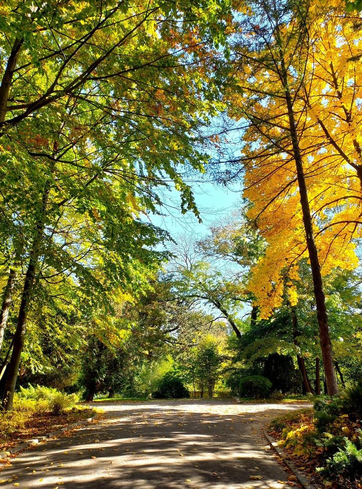 Photograph by Елена Шерман