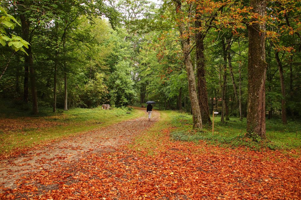 Photograph by Georgiades Socratis