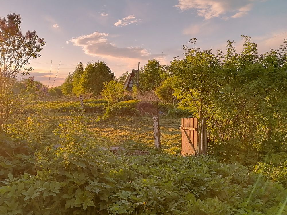 Photograph by Ольга Миронова