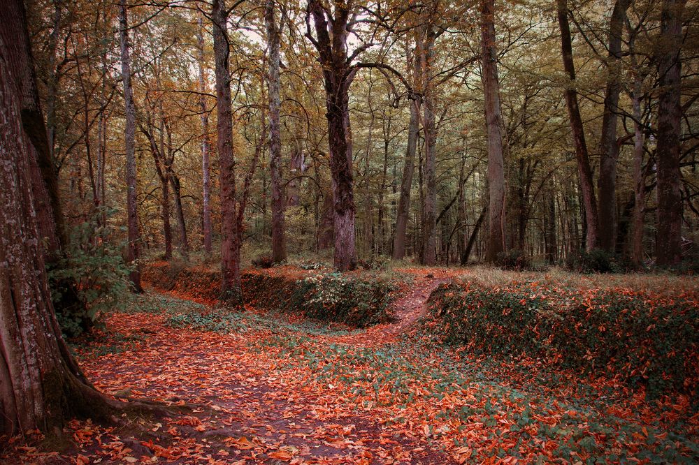 Photograph by Georgiades Socratis