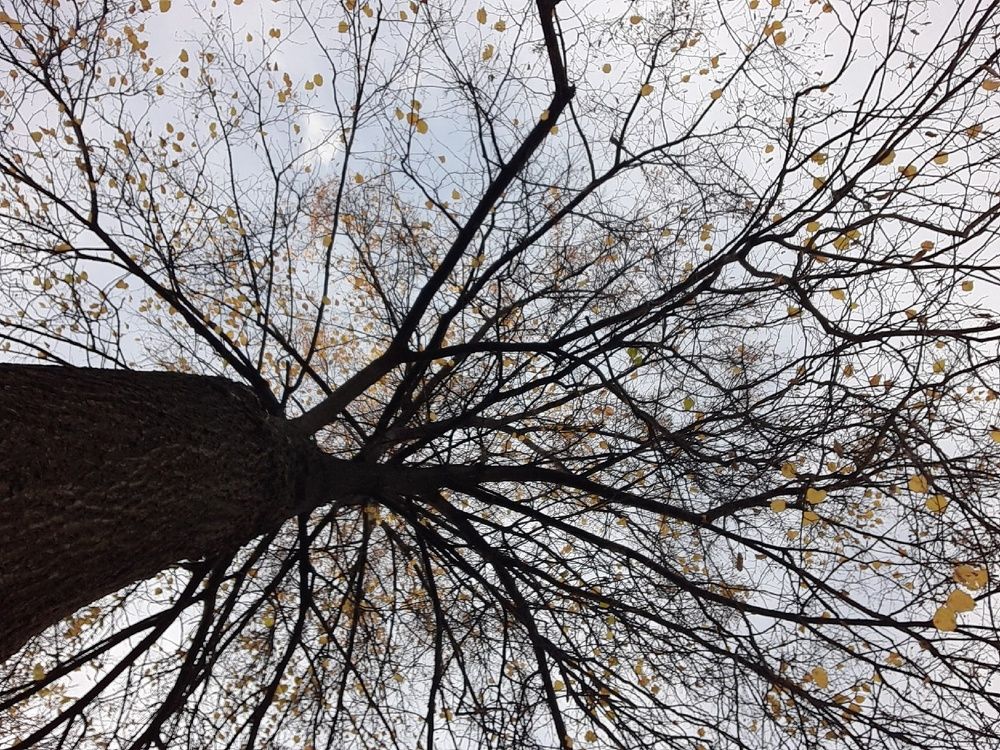 Photograph by Евгения Ульянова