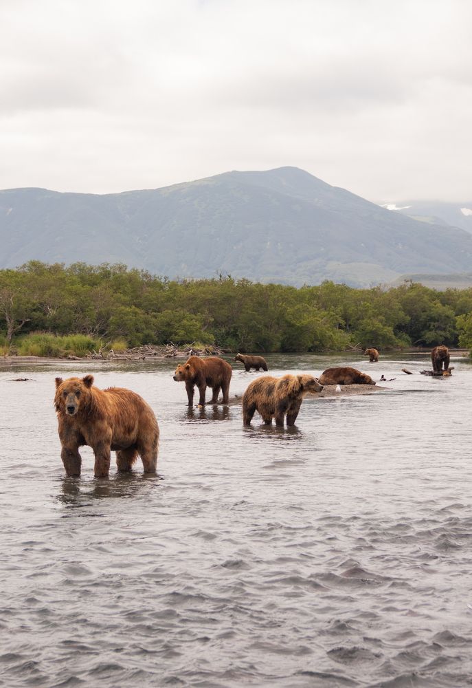 Photograph by Frolova Nataliya