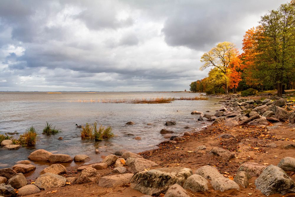 Photograph by Диана Бородзе