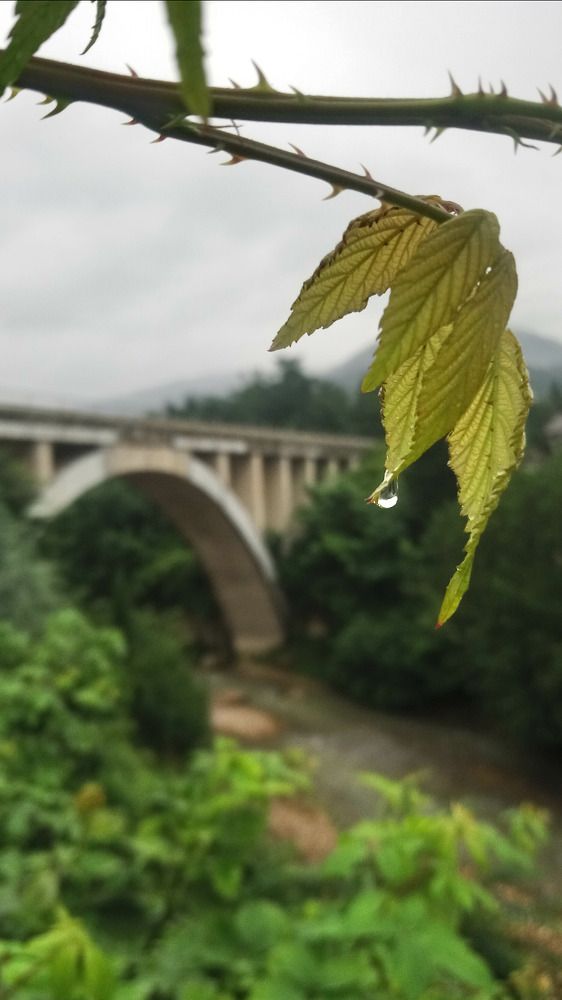 Photograph by Sina Saadati