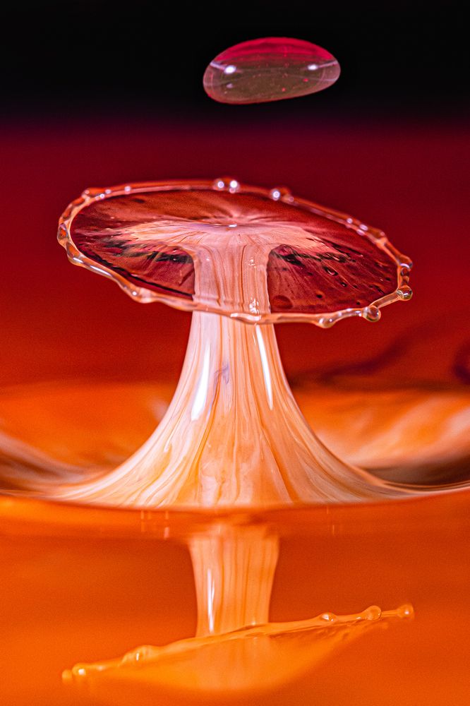 Photograph by Joao R Cortez