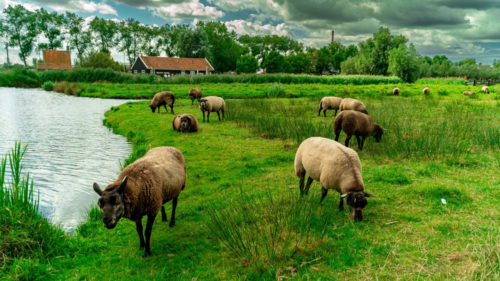 Photograph by W_r Fischer