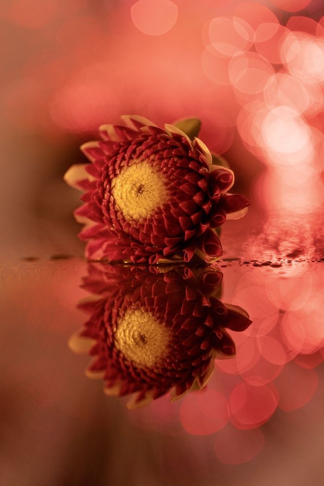 Photograph by Малика Маткарим