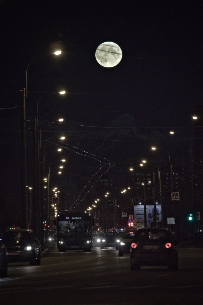 Photograph by Игорь Шамин