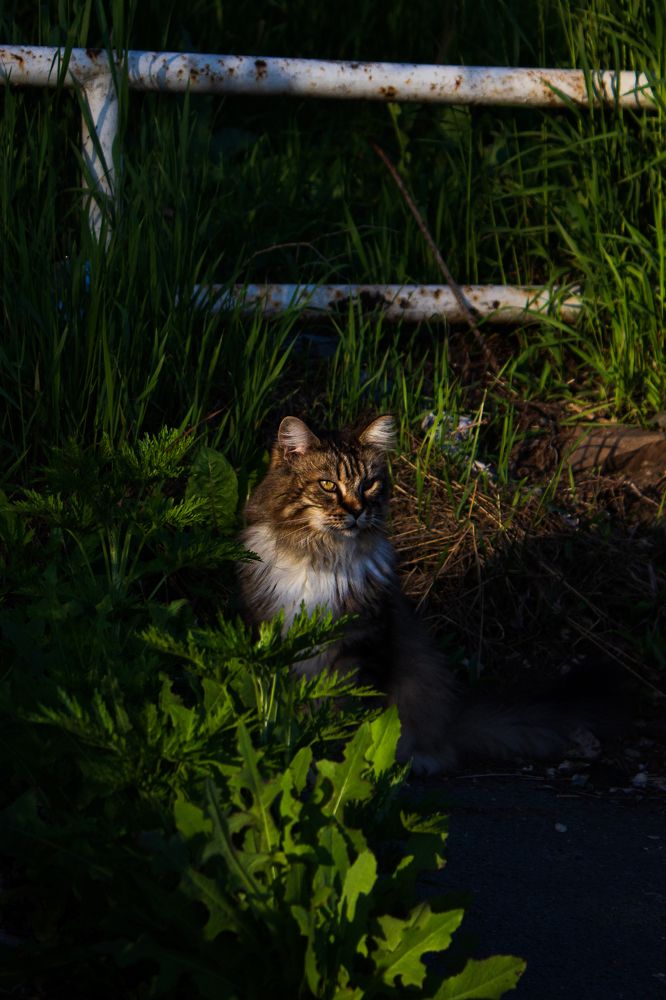 Photograph by Эмилия Молчанова
