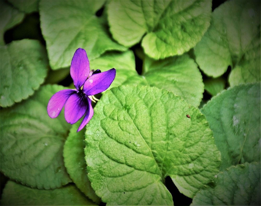 Photograph by Natalia Vostrikova