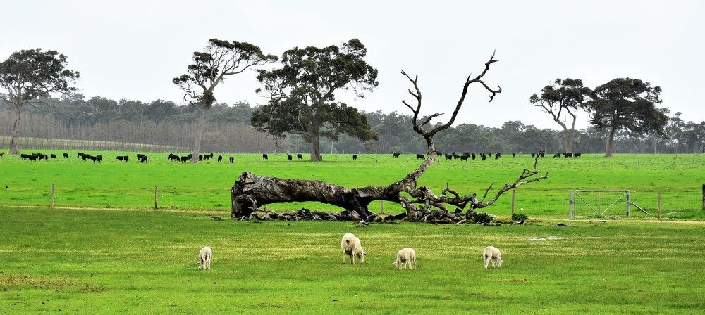 Photograph by Natalia Vostrikova