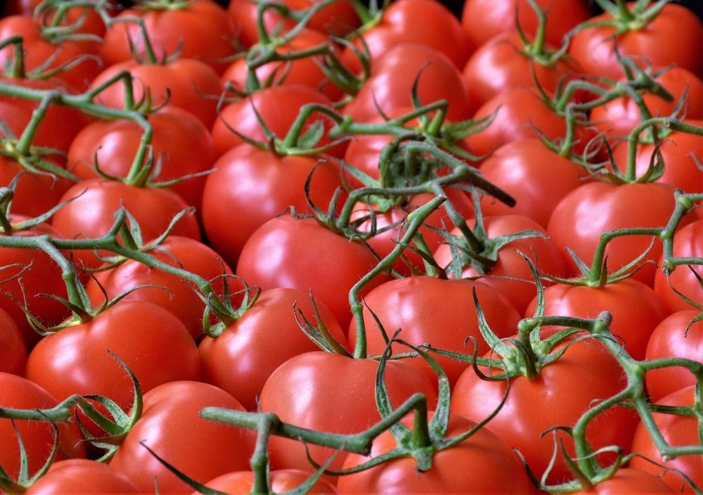 Photograph by Natalia Vostrikova