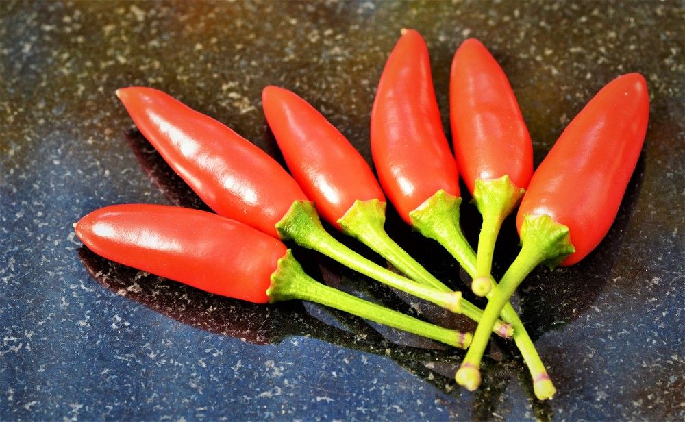 Photograph by Natalia Vostrikova