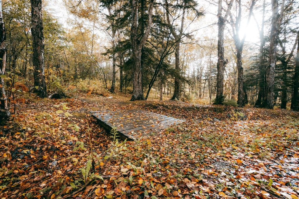 Photograph by Дмитрий Колосов