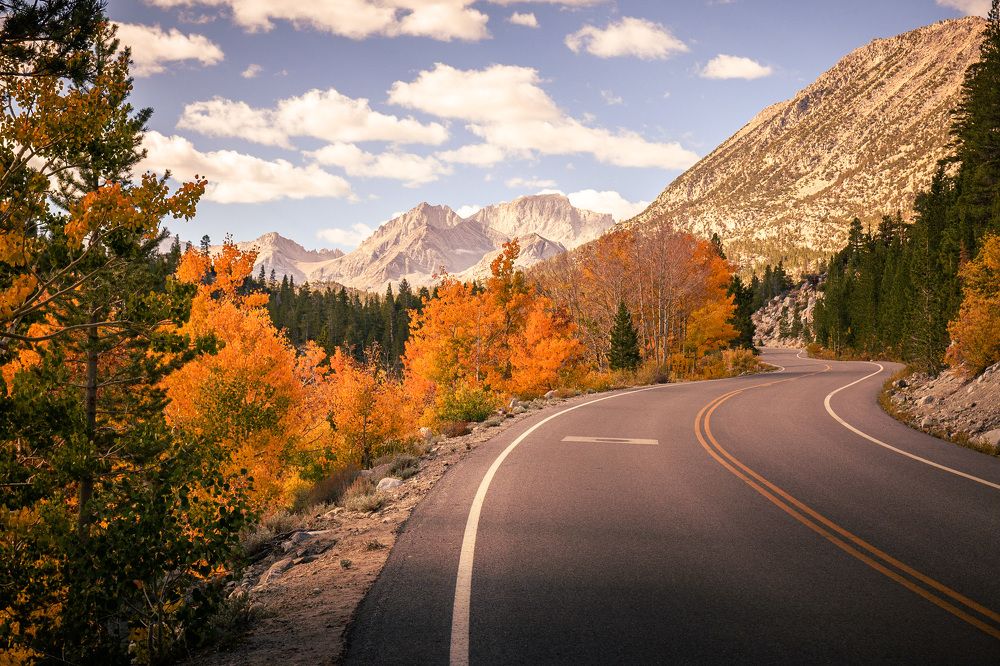 Фотография автора Robert Welsted