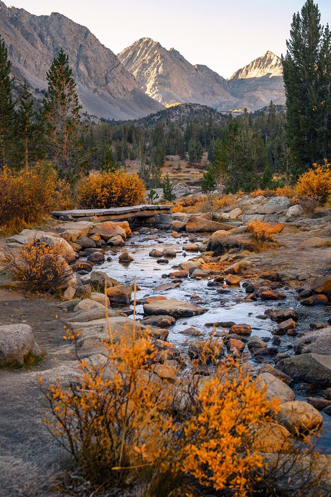 Фотография автора Robert Welsted