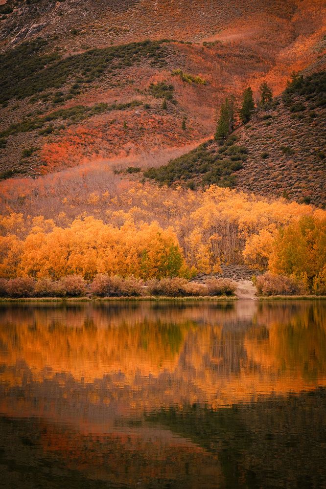 Фотография автора Robert Welsted