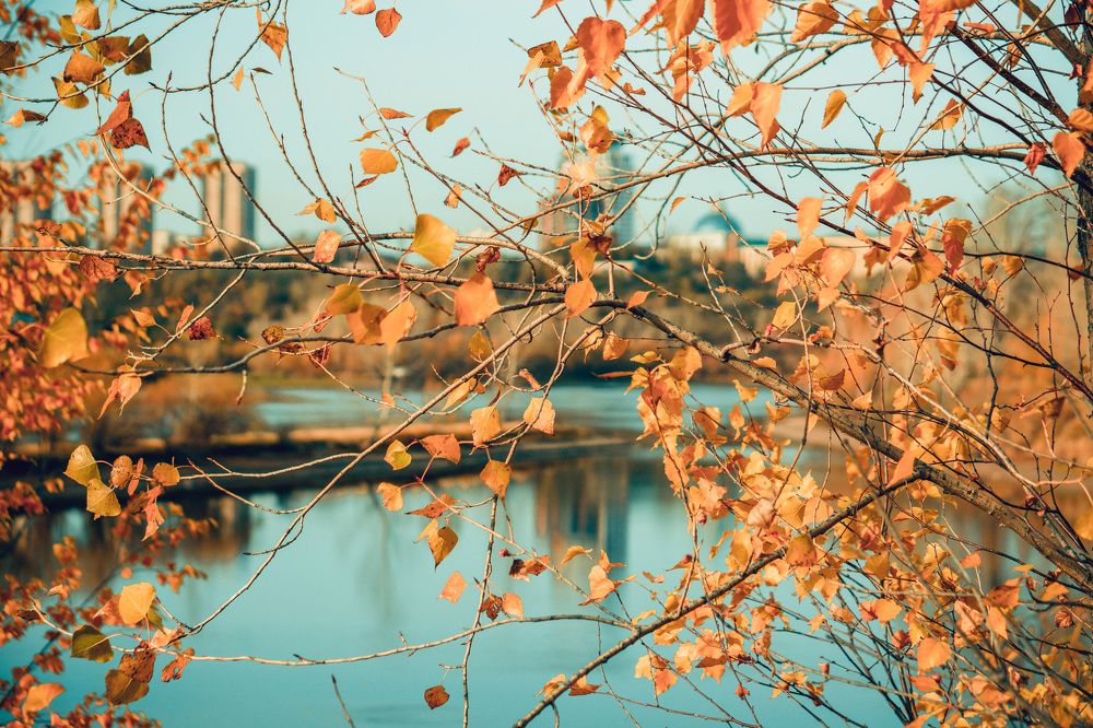 Photograph by Александр Пургин