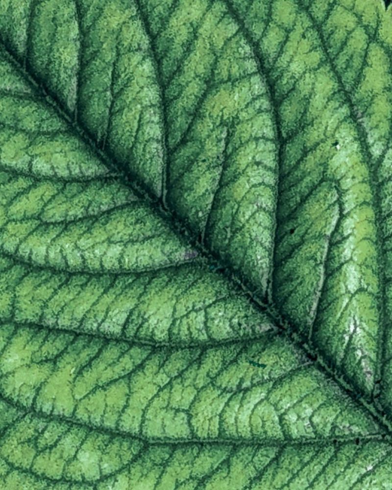 Photograph by Наталья Ефимова