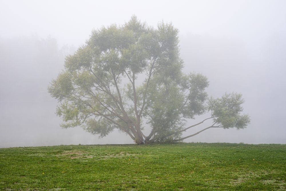 Photograph by Андрей Калинин