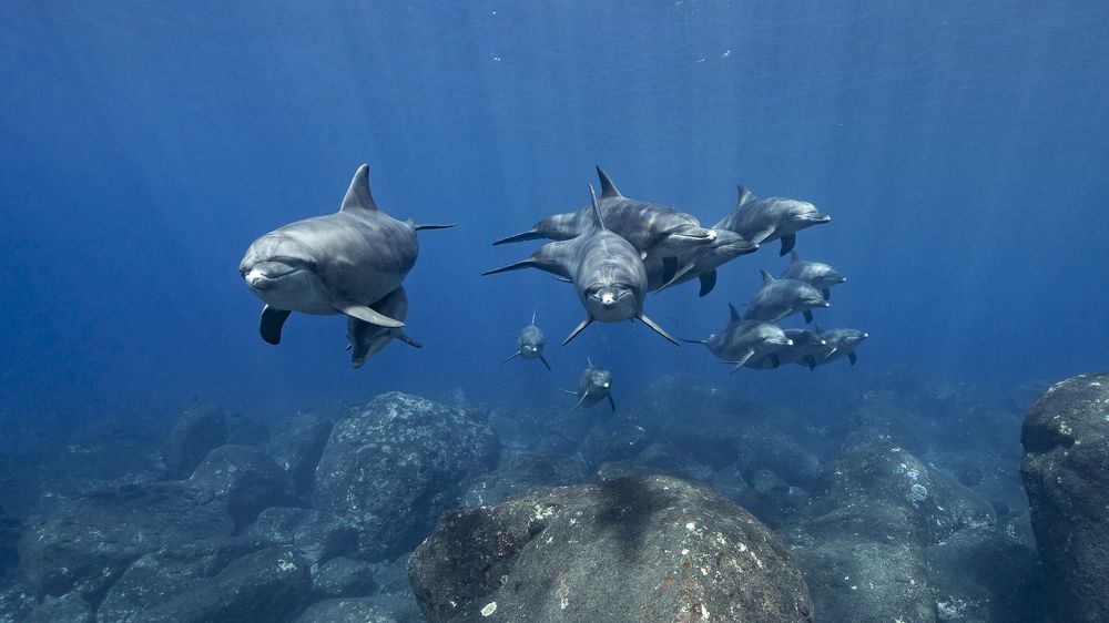 A wonderful encounter