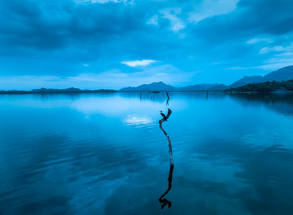 Фотография автора Amal Prasad