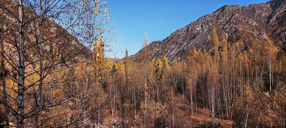 Photograph by Наталья Баранова