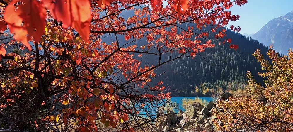 Photograph by Наталья Баранова