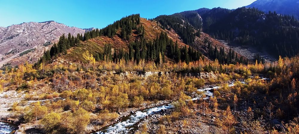 Photograph by Наталья Баранова